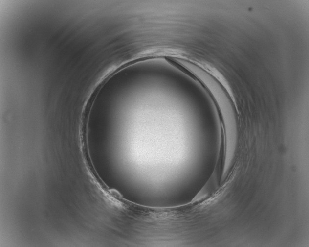 X0000072950997200608041303