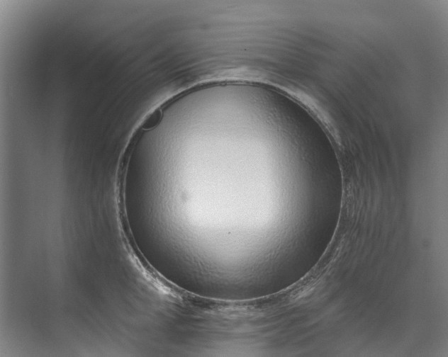 X0000072950998200608041303