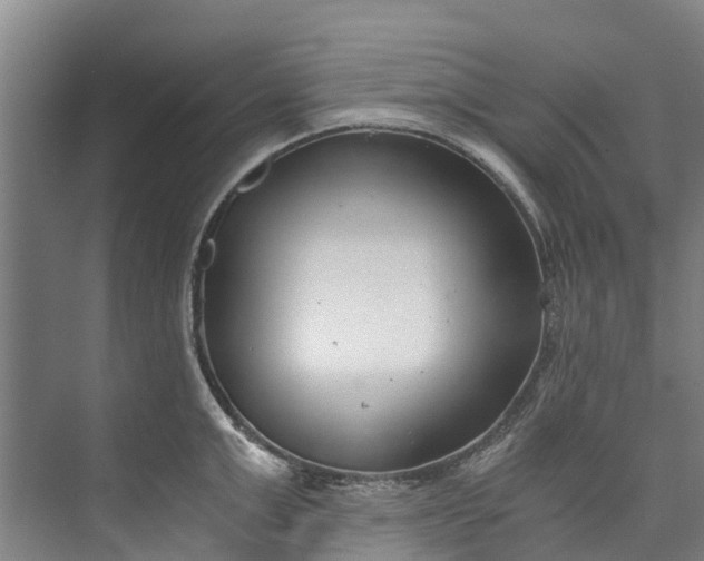 X0000072950999200608041303