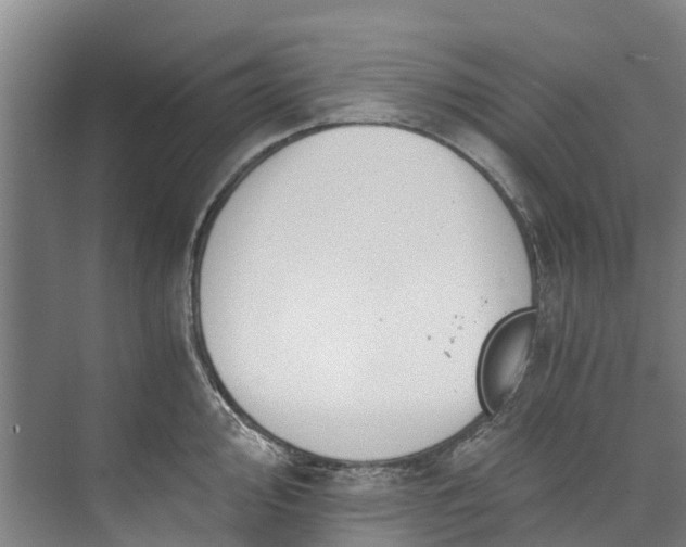 X0000072951000200608041303