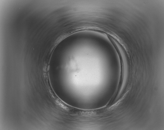 X0000072951001200608041303