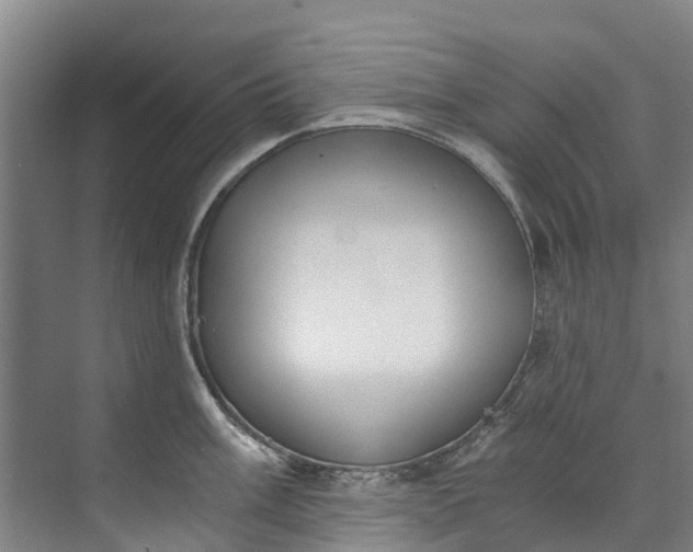 X0000072951003200608041303