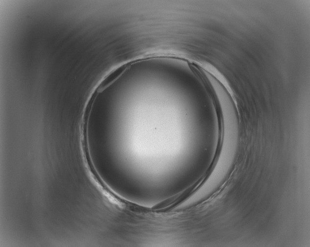 X0000072951005200608041303