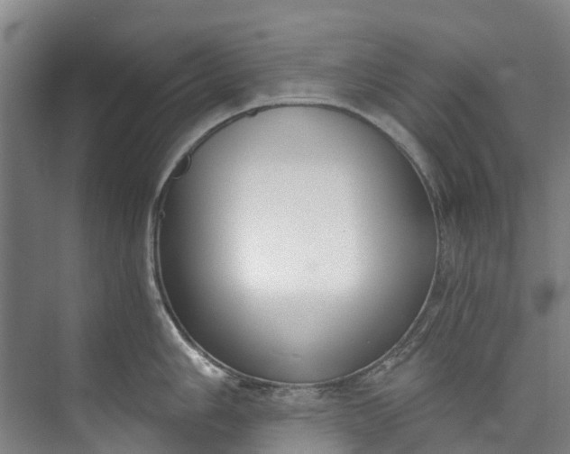 X0000072951006200608041303