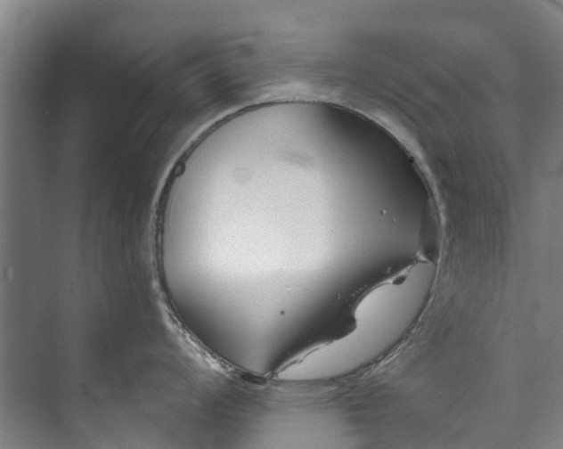 X0000072951008200608041303