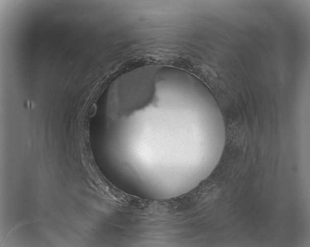 X0000072951009200608041302