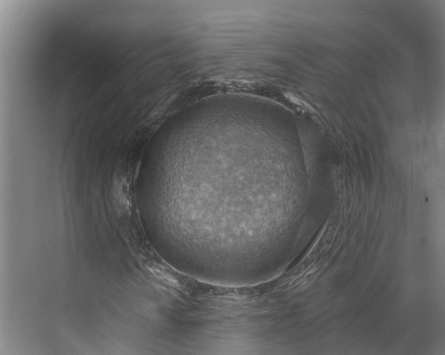 X0000072951010200608041302