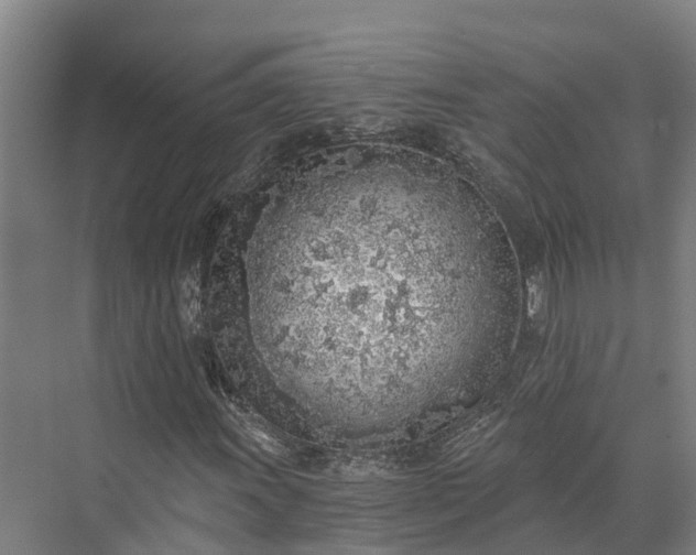 X0000072951011200608041302