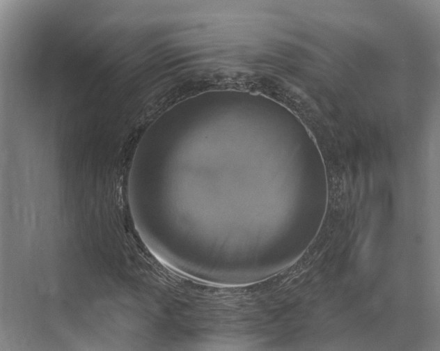 X0000072951013200608041302