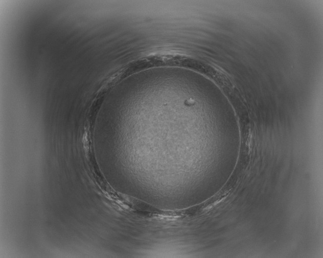 X0000072951014200608041302