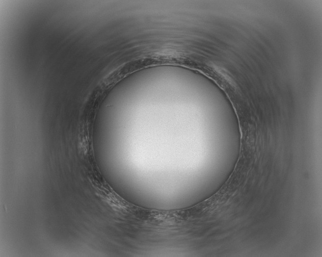 X0000072951015200608041302