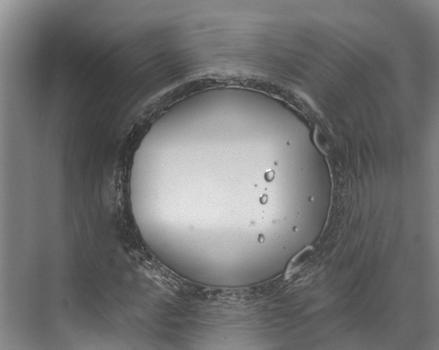 X0000072951016200608041302