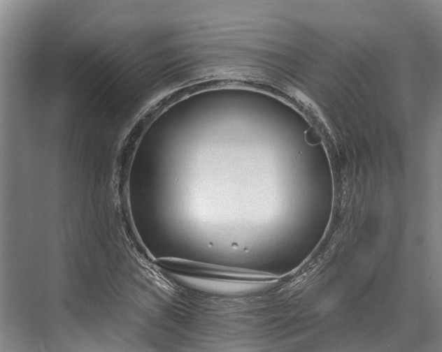 X0000072951019200608041302