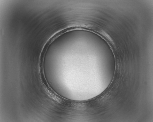 X0000072951020200608041302