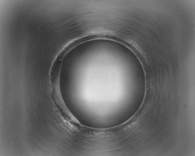 X0000072951022200608041302