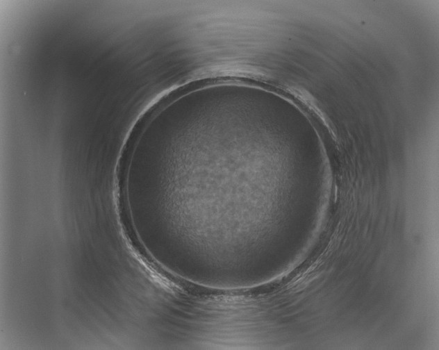 X0000072951024200608041302