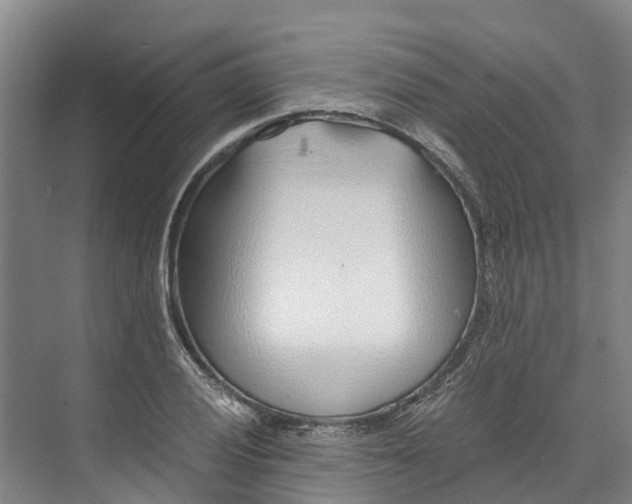 X0000072951028200608041302