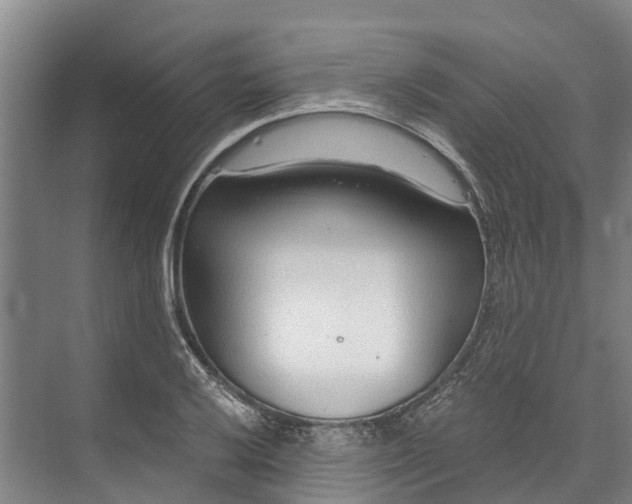 X0000072951032200608041302