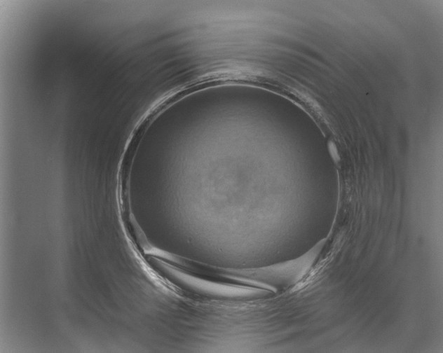 X0000072951034200608041302