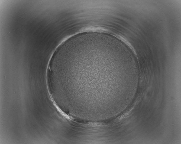 X0000072951037200608041302