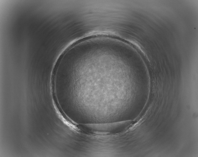 X0000072951038200608041302