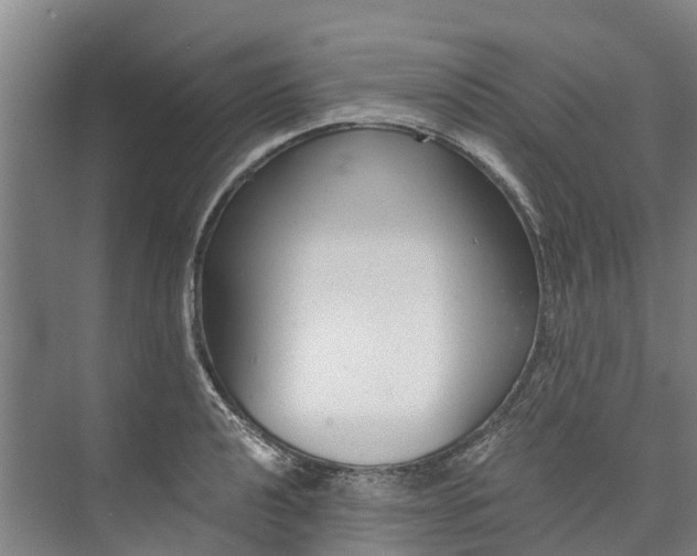 X0000072951040200608041302