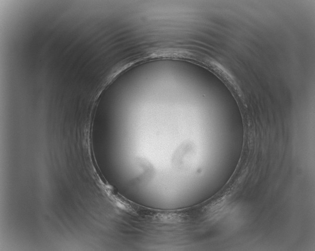 X0000072951041200608041302