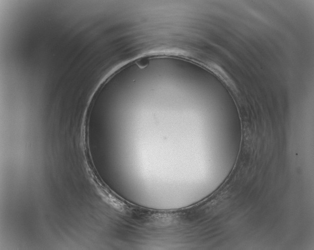 X0000072951044200608041302