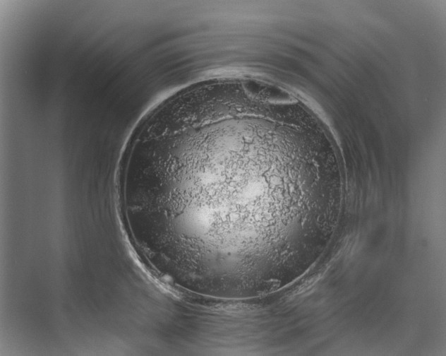 X0000072951045200608041302