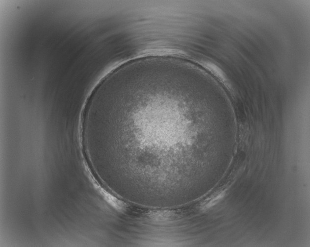 X0000072951046200608041302