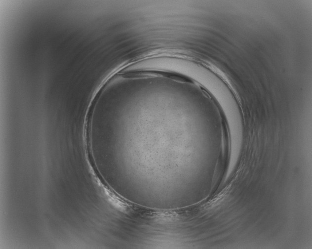 X0000072951050200608041302