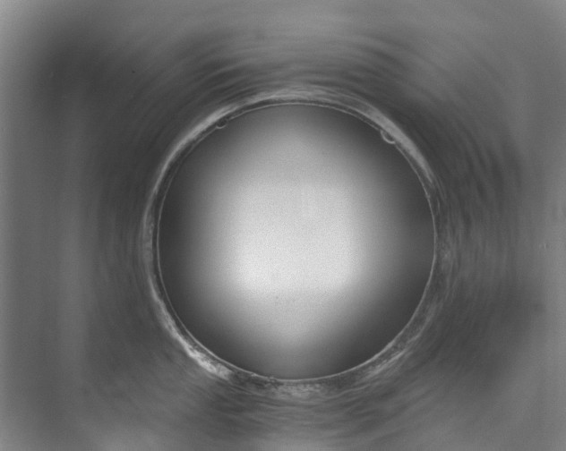 X0000072951053200608041303