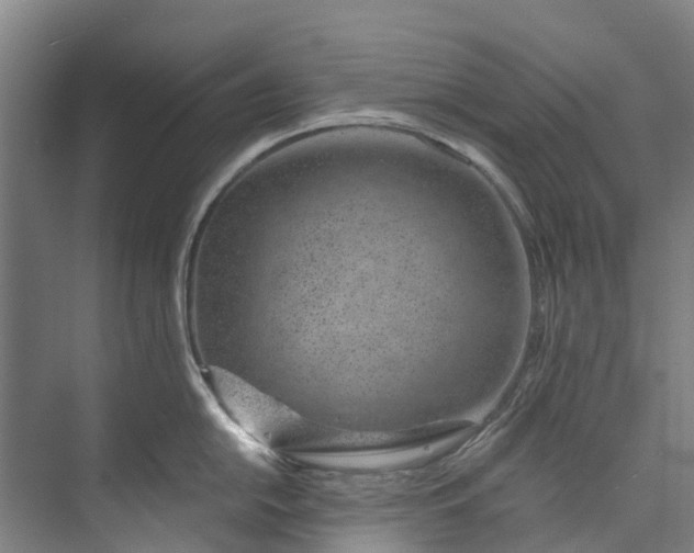 X0000072951054200608041303