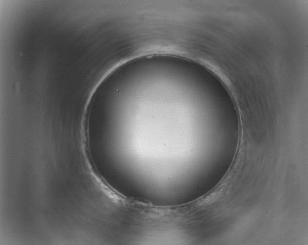 X0000072951056200608041303