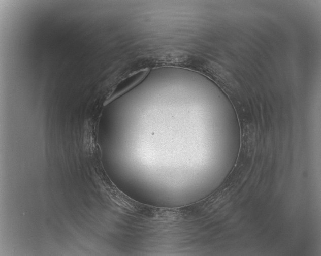 X0000072951058200608041302