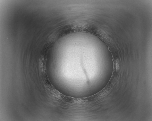 X0000072951059200608041302