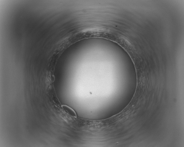 X0000072951062200608041302