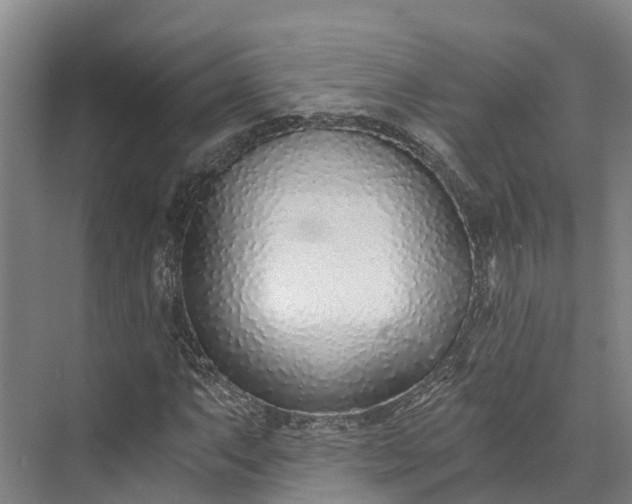 X0000072951063200608041302