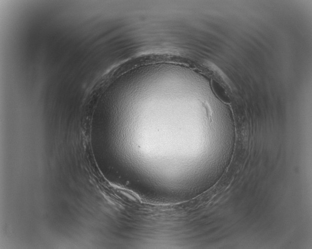 X0000072951064200608041302