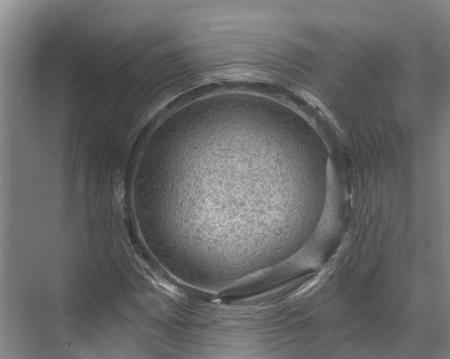 X0000072951065200608041302