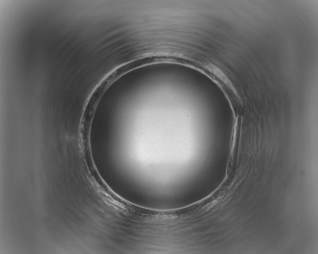 X0000072951068200608041302