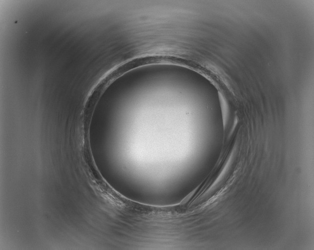 X0000072951069200608041302