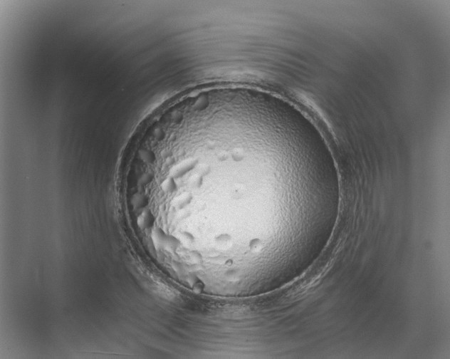 X0000072951071200608041302