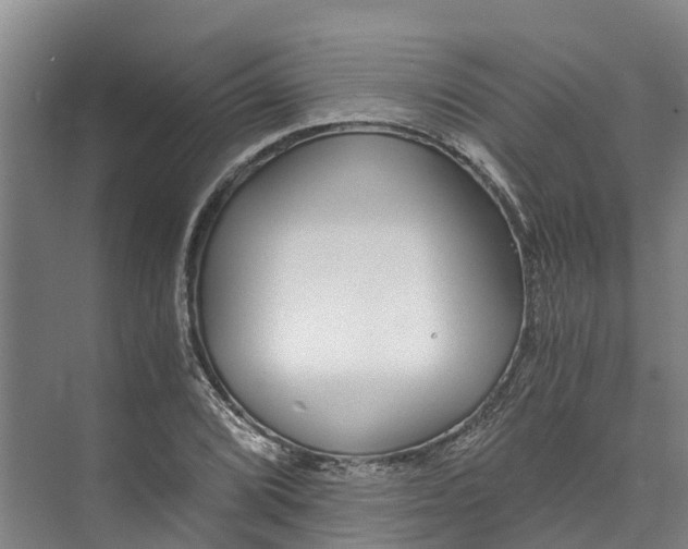 X0000072951072200608041302