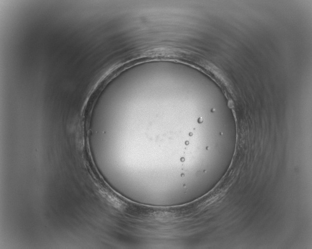 X0000072951075200608041301