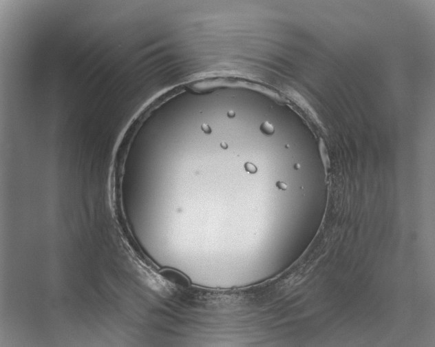 X0000072951076200608041301