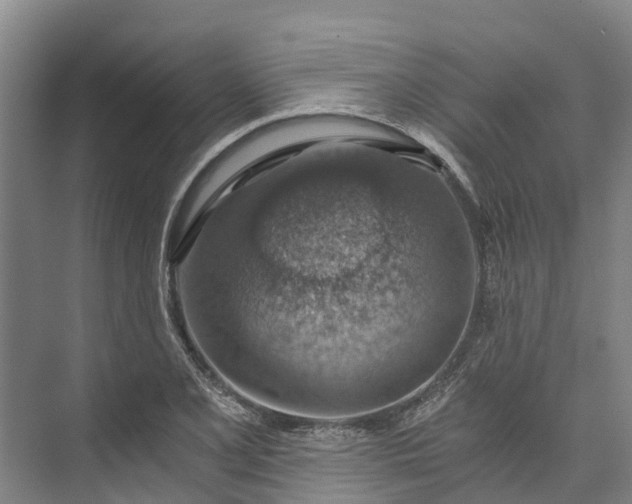 X0000072951077200608041301