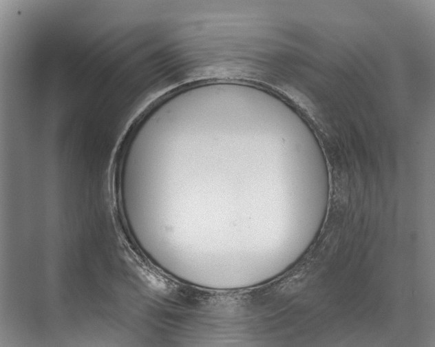 X0000072951078200608041301