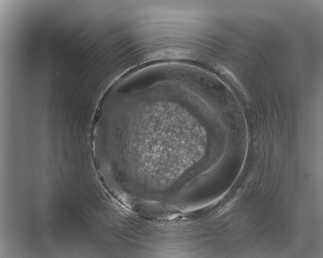 X0000072951081200608041301