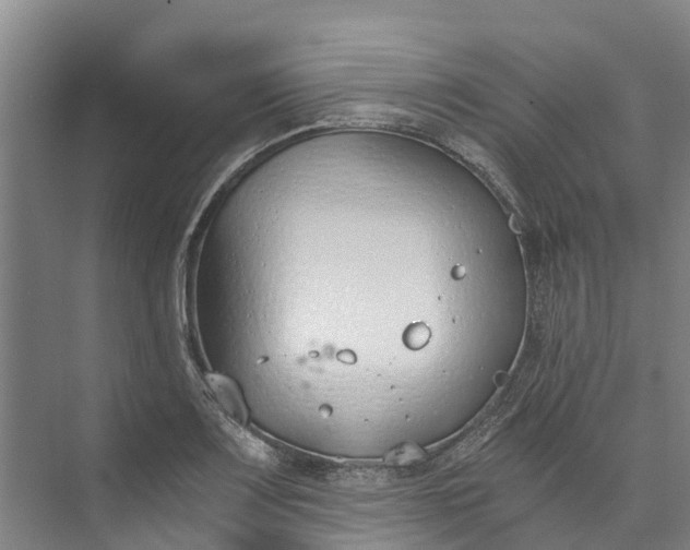 X0000072951083200608041301